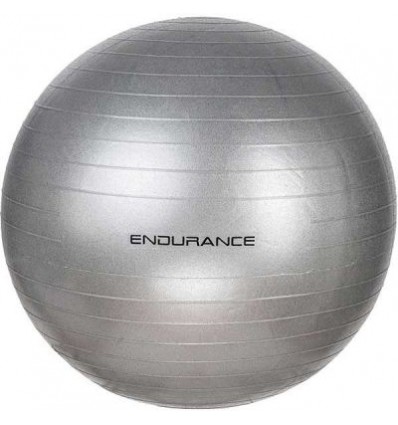 Endurance Gym Ball 55cm