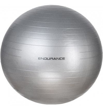 Endurance Gym Ball 65cm