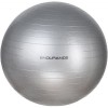 Endurance Gym Ball 65cm